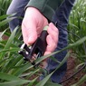 Thumb leaf thickness meter