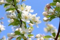 Medium img 0059