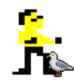 Medium bruce dusjagr bird