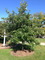 Thumb img 4486