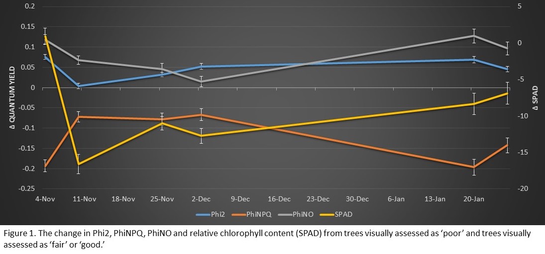 Figure 1.jpg